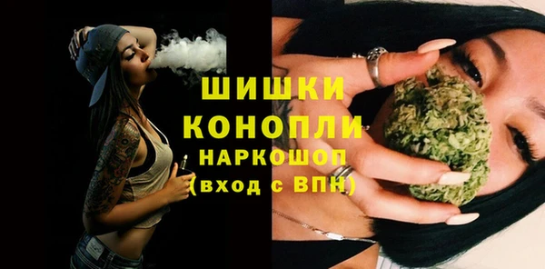 молекула духа Нягань