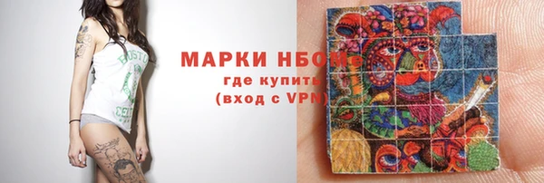 сатива Аркадак