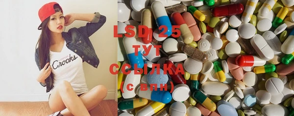 индика Армянск