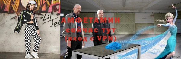 сатива Аркадак