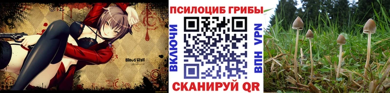 Галлюциногенные грибы мицелий  Лянтор 